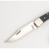 Нож BUCK 0110BKSNS FOLDING HUNTER B0110BKSNS